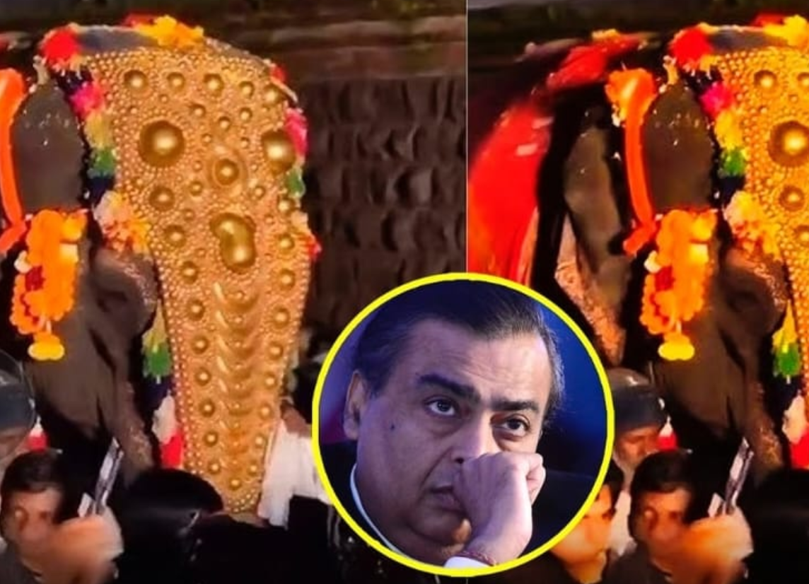 Kolhapur Boycotts Jio After Beloved Temple Elephant Mahadevi Relocated to Gujarat Sanctuary